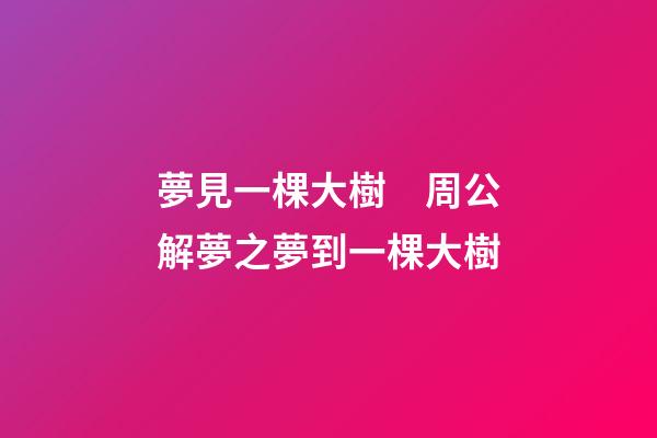 夢見一棵大樹　周公解夢之夢到一棵大樹
